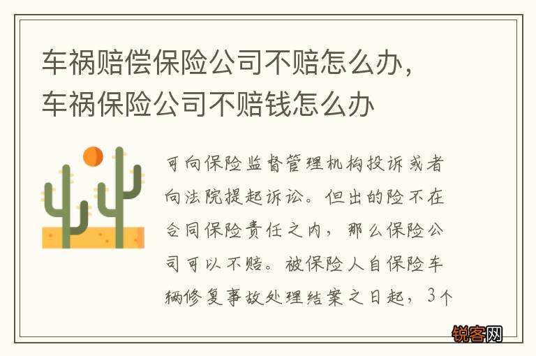 车祸赔偿保险公司不赔怎么办，车祸保险公司不赔钱怎么办