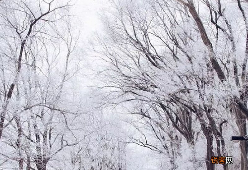梦见下雪是什么意思