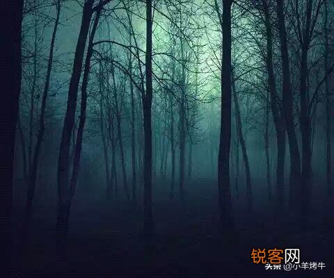 有没有什么可以把全宿舍人吓哭的鬼故事?