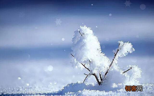 《诗经》中的“昔我往矣,杨柳依依,今我来思,雨雪霏霏”有什么深意？