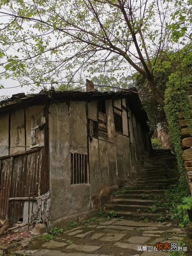 摄影如何表现“昔我往矣,杨柳依依。今我来思,雨雪霏霏。”？