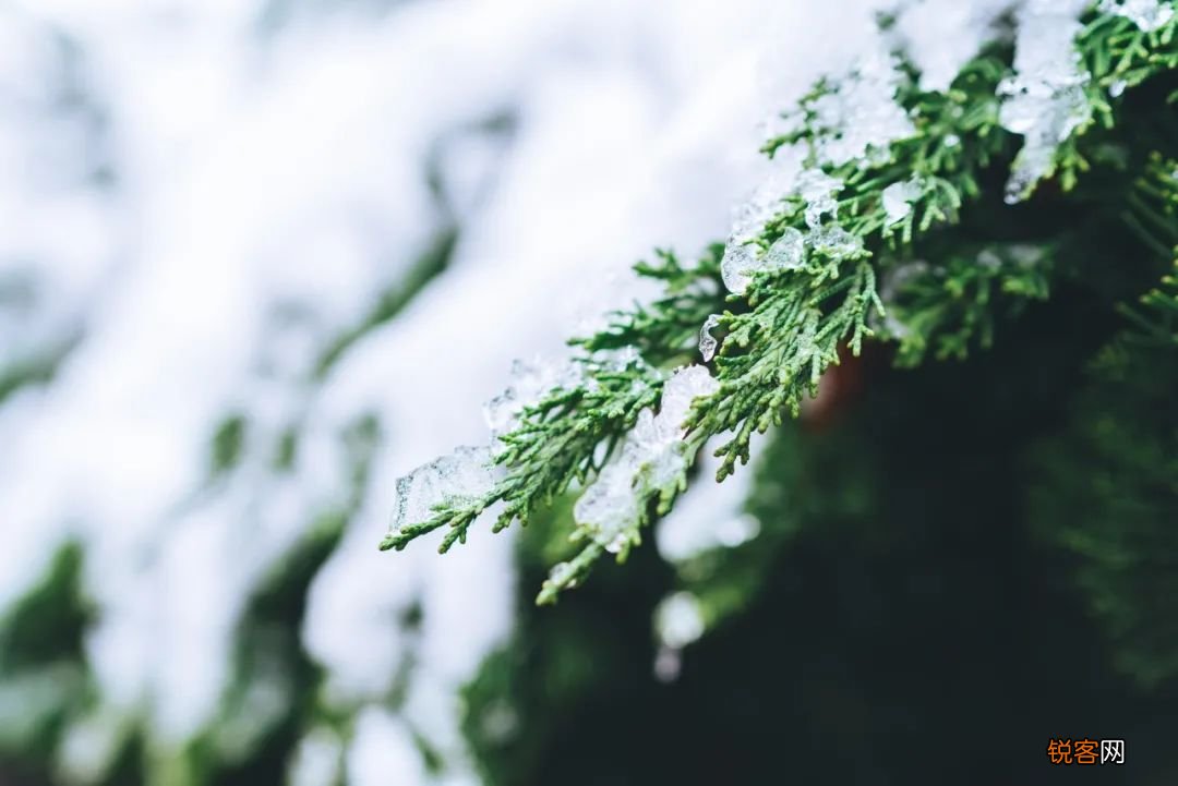 形容冬雪之美的诗句 与您尽赏冬雪之美