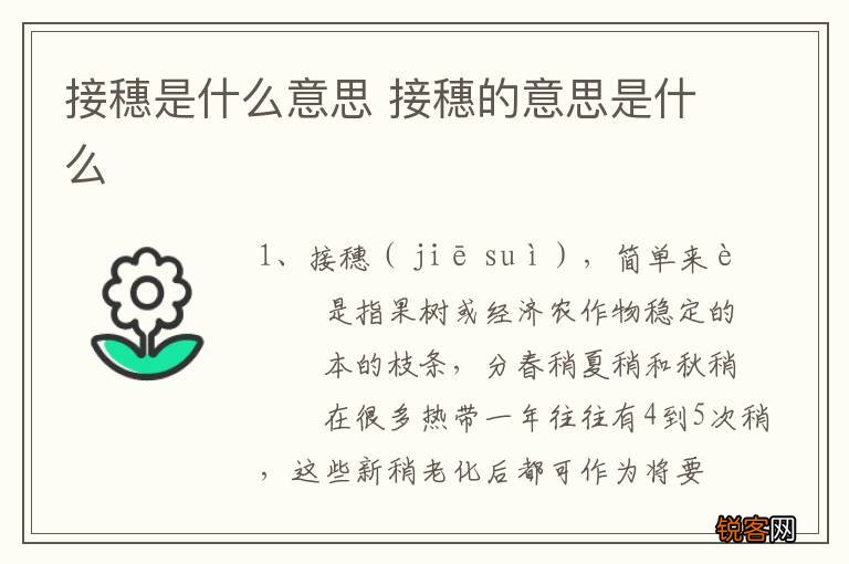 接穗是什么意思 接穗的意思是什么