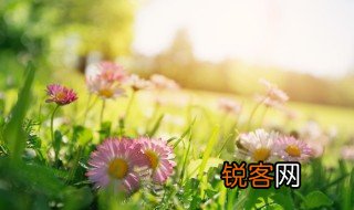 新春和立春有什么区别? 新春和立春的不同