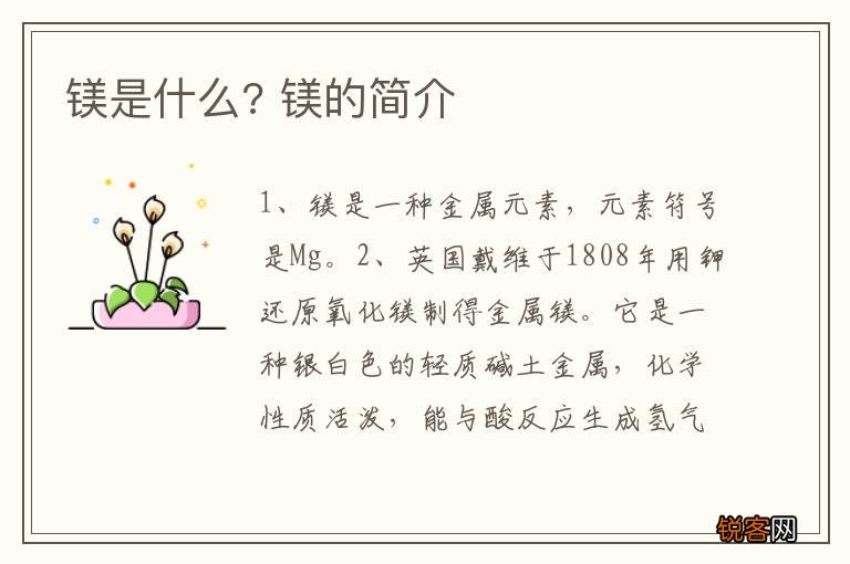 镁是什么? 镁的简介