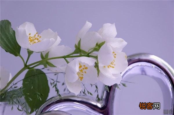 早安暖心问候语 句句温暖人心的早安问候语
