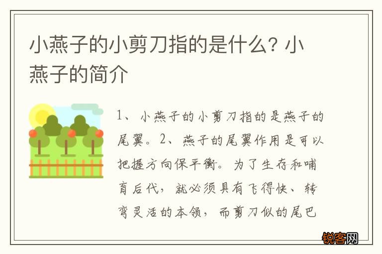 小燕子的小剪刀指的是什么? 小燕子的简介