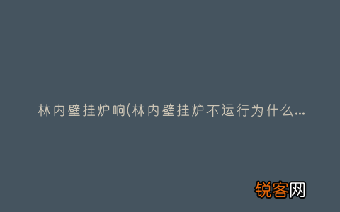 林内壁挂炉不运行为什么一直嗡嗡响 林内壁挂炉响