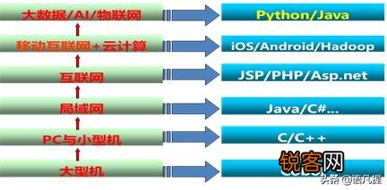 软件工程专业学生第一门应该自学哪种编程语言？