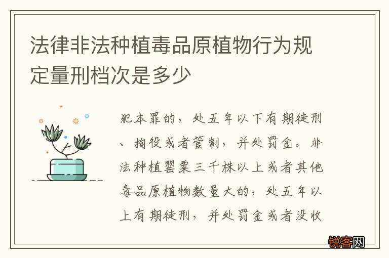 法律非法种植毒品原植物行为规定量刑档次是多少