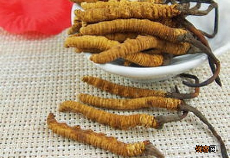 虫草怎样保存效果最佳 冬虫夏草冷藏还是冷冻