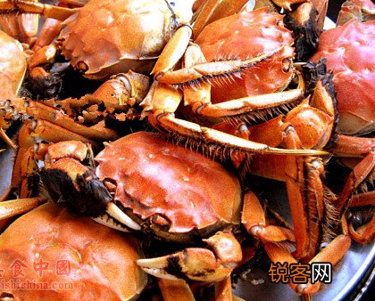 女人经期不宜吃8种食物