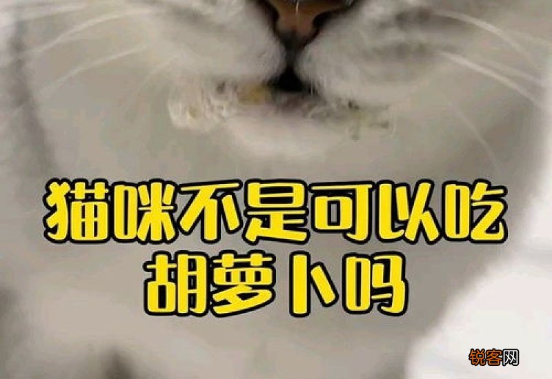 猫可以吃胡萝卜么