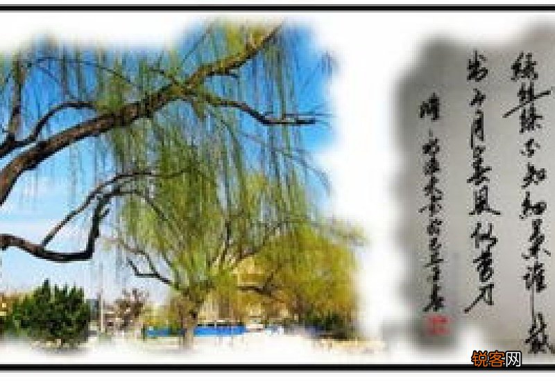 春风像什么一样比喻句 春风像什么造句