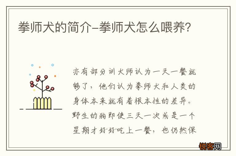 拳师犬的简介-拳师犬怎么喂养？