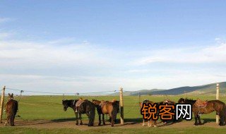 内蒙与外蒙的区别 内蒙外蒙区别