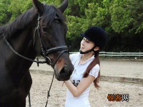 台湾美女林志玲、张钧甯、萧蔷谁更美？