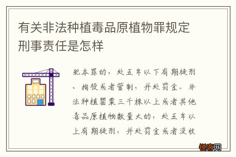 有关非法种植毒品原植物罪规定刑事责任是怎样
