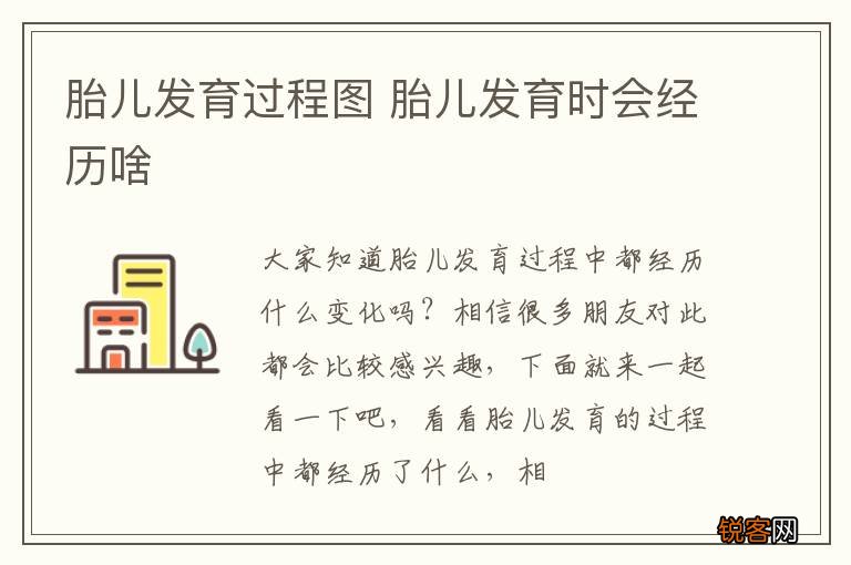 胎儿发育过程图 胎儿发育时会经历啥