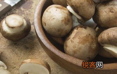 老人吃什么食物能降血压