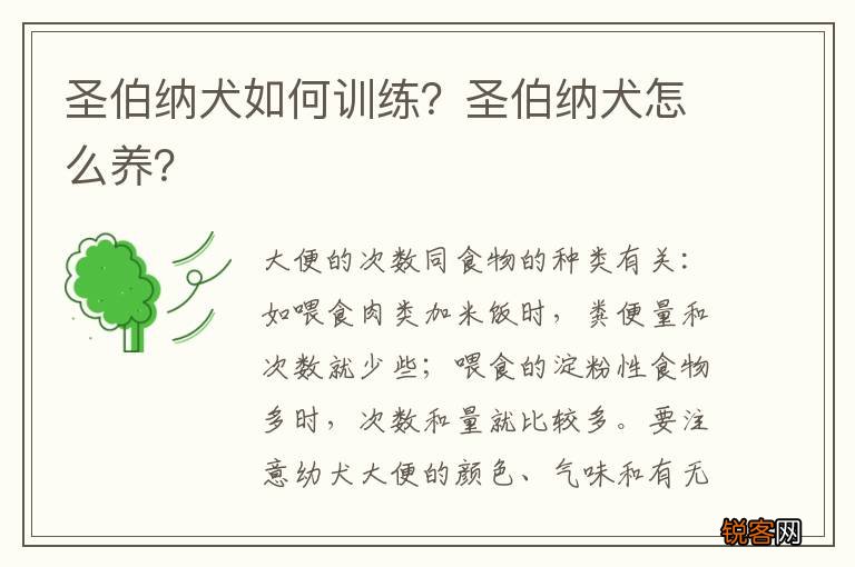 圣伯纳犬如何训练？圣伯纳犬怎么养？