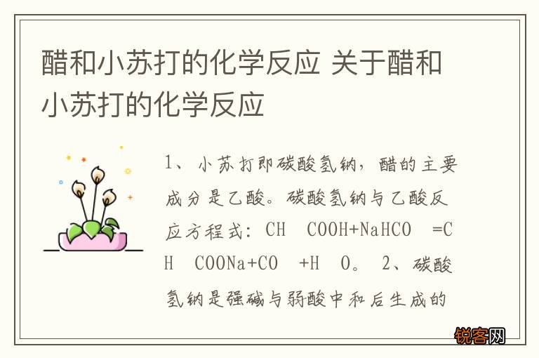 醋和小苏打的化学反应 关于醋和小苏打的化学反应