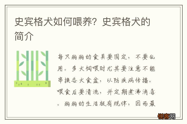 史宾格犬如何喂养？史宾格犬的简介
