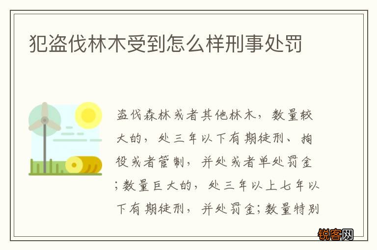 犯盗伐林木受到怎么样刑事处罚