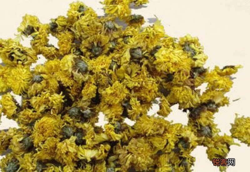 珍珠菊的功效与作用 珍珠菊的食用方式和注意事项