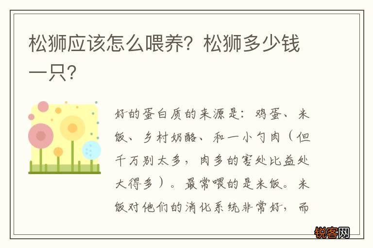 松狮应该怎么喂养？松狮多少钱一只？