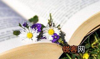 另眼看待的意思 另眼看待的解释