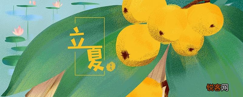 今天立夏吃什么好 立夏养生喝什么茶