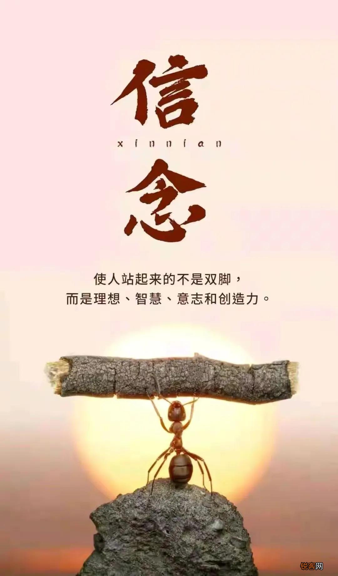 如何看待司马南怒怼联想 资不抵债资产流失信息安全等一系列问题