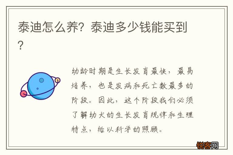 泰迪怎么养？泰迪多少钱能买到？