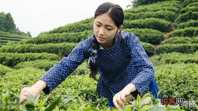 你心中的中国城市美女排行榜是如何排的？