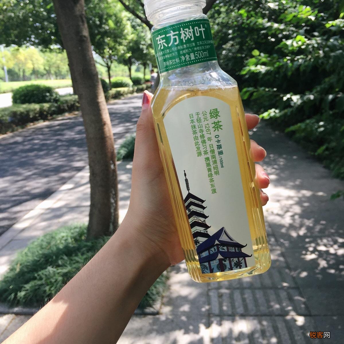 超市5种低调饮料 却是难得的好饮料
