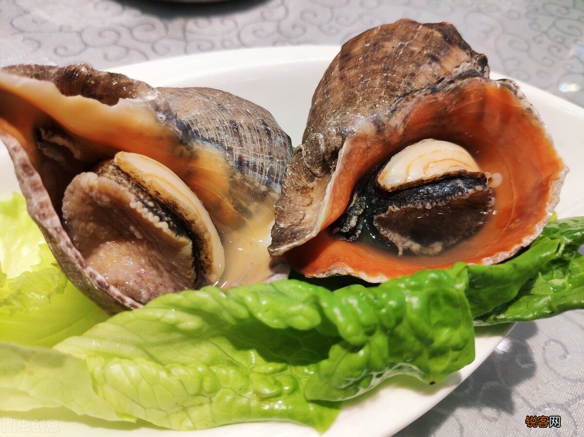 海螺煮多久多长时间最好吃 海螺煮多久能熟