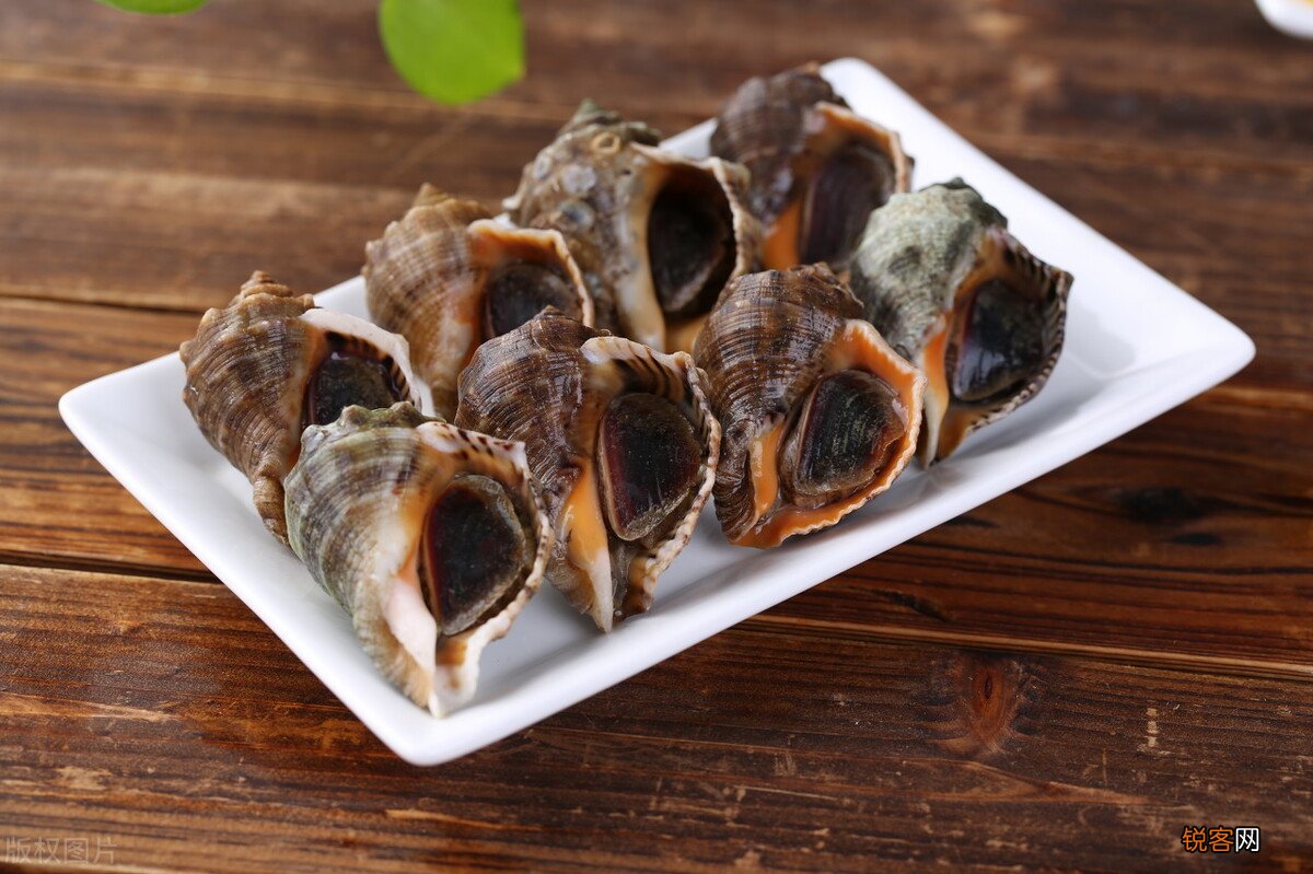 海螺煮多久多长时间最好吃 海螺煮多久能熟