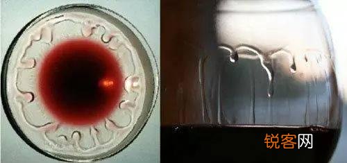 红酒入门知识 10个基础小知识