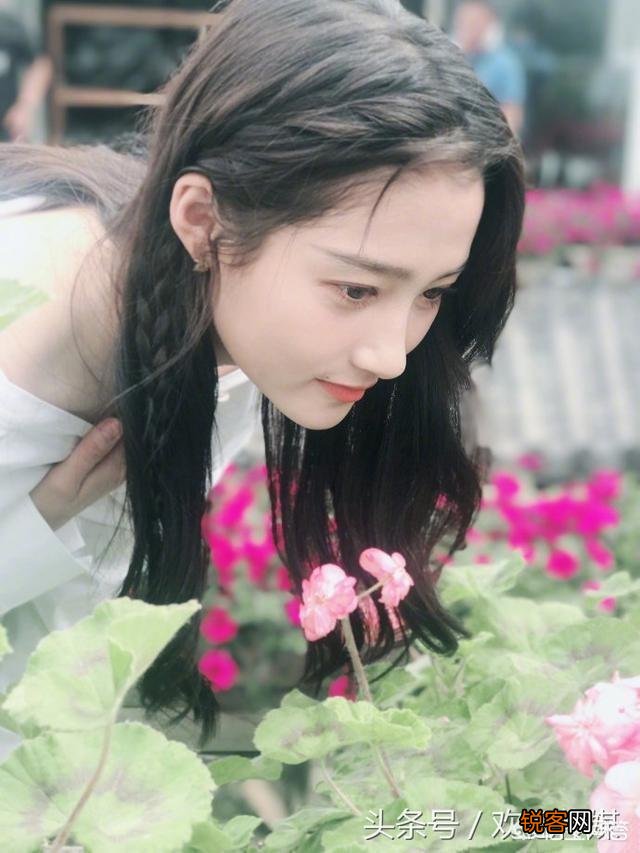 你最喜欢的女明星前5名是谁？