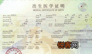 出生地怎么填写 出生地怎么填
