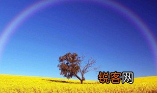 描写夏天的优美句子简短 描写夏天的优美句子