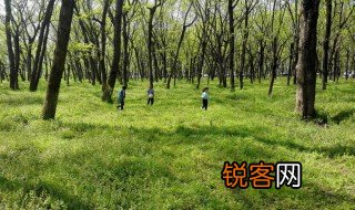 踏青古诗 踏青古诗三首