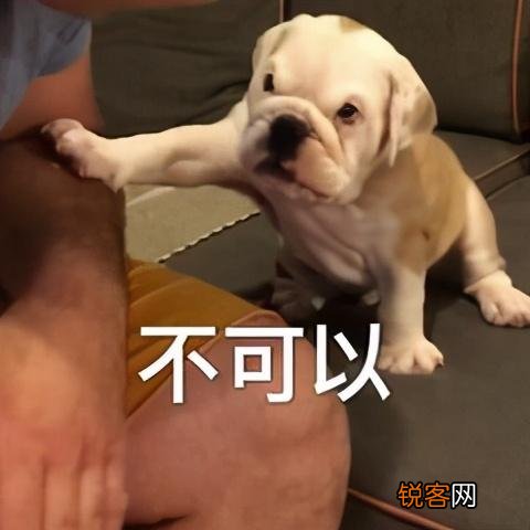 微波炉美食做法大全 不开火搞定一日三餐