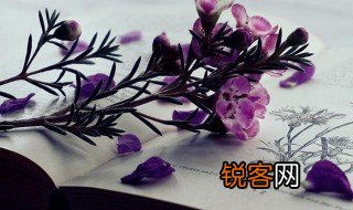 任凭风浪起稳坐钓鱼船的意思 任凭风浪起稳坐钓鱼船的解释