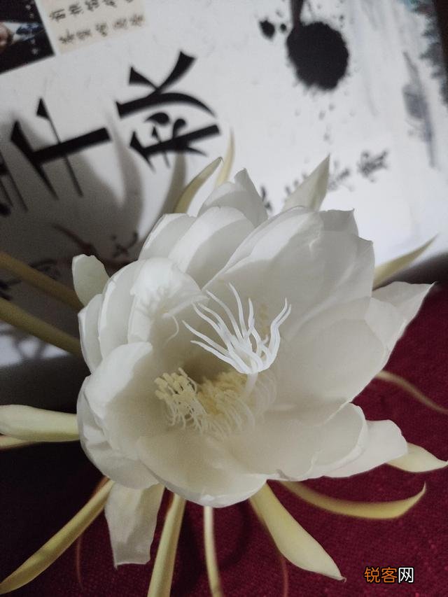 俄罗斯军事那么强大,美国敢与俄罗斯开战吗？