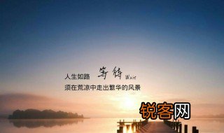 24句经典人生感悟句子有哪些 致自己的人生感悟句子