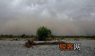 沙尘暴多发生在什么季节 沙尘暴常出现的季节是啥时候