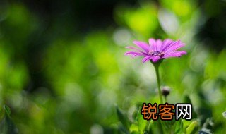 赞美春天的优美句子有哪些 赞美春天的优美句子