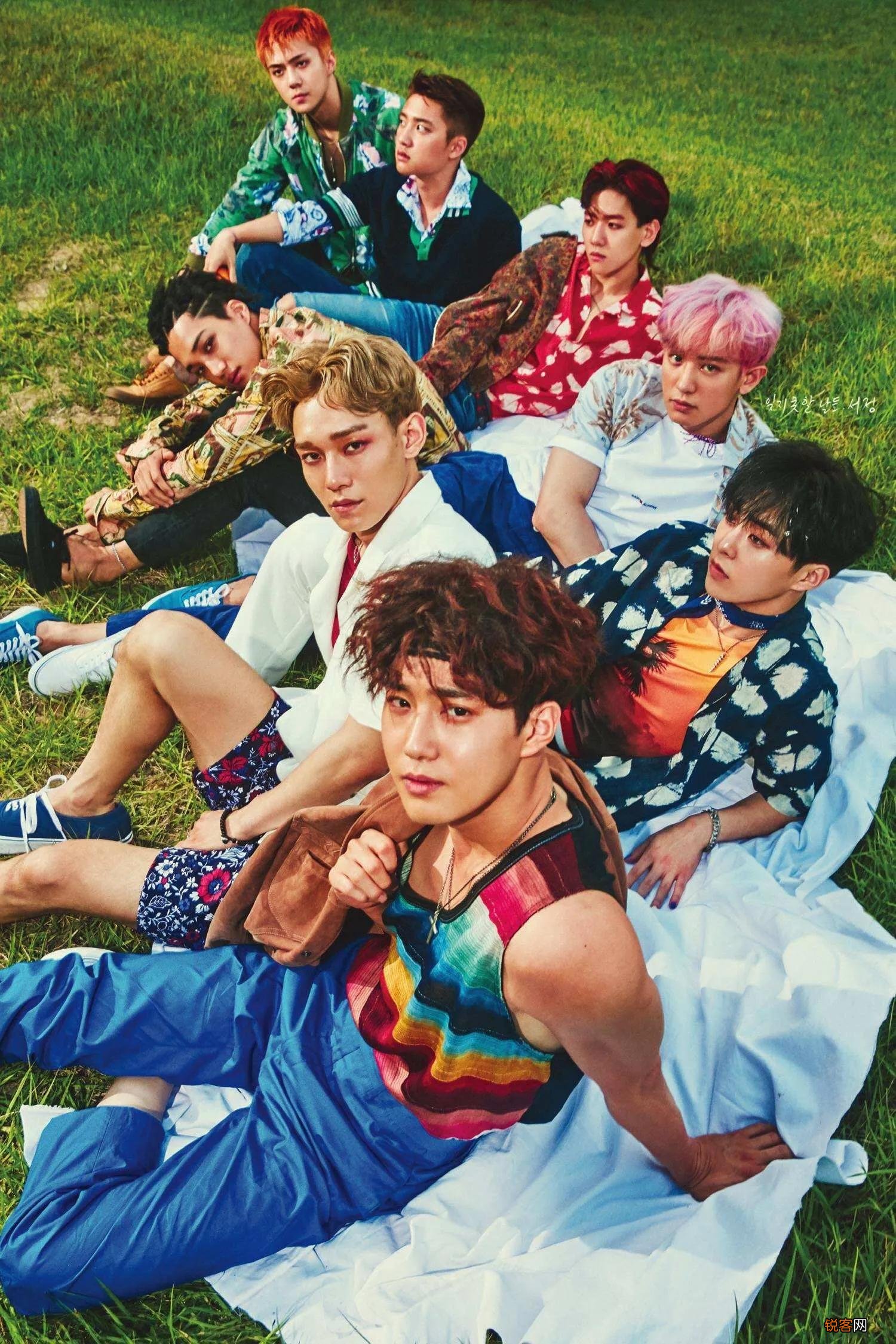 exo十二人资料 韩国热门男团之EXO